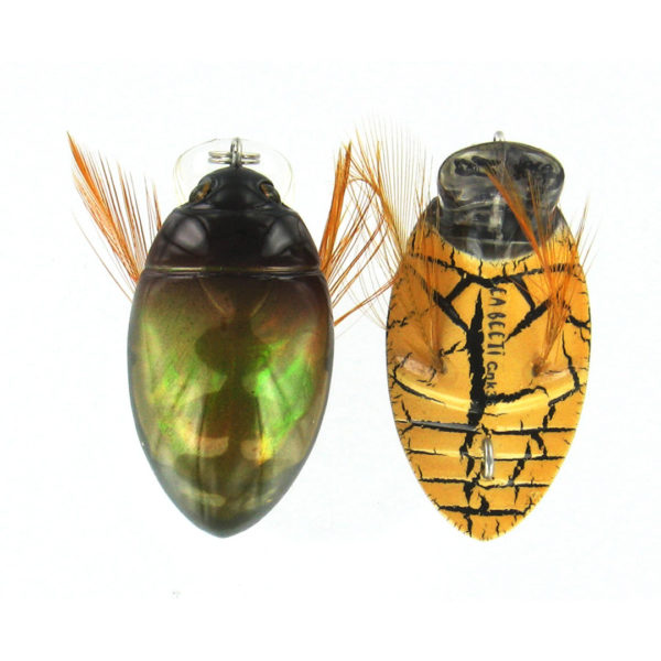 River2Sea GT Bug Surface Walker Lure