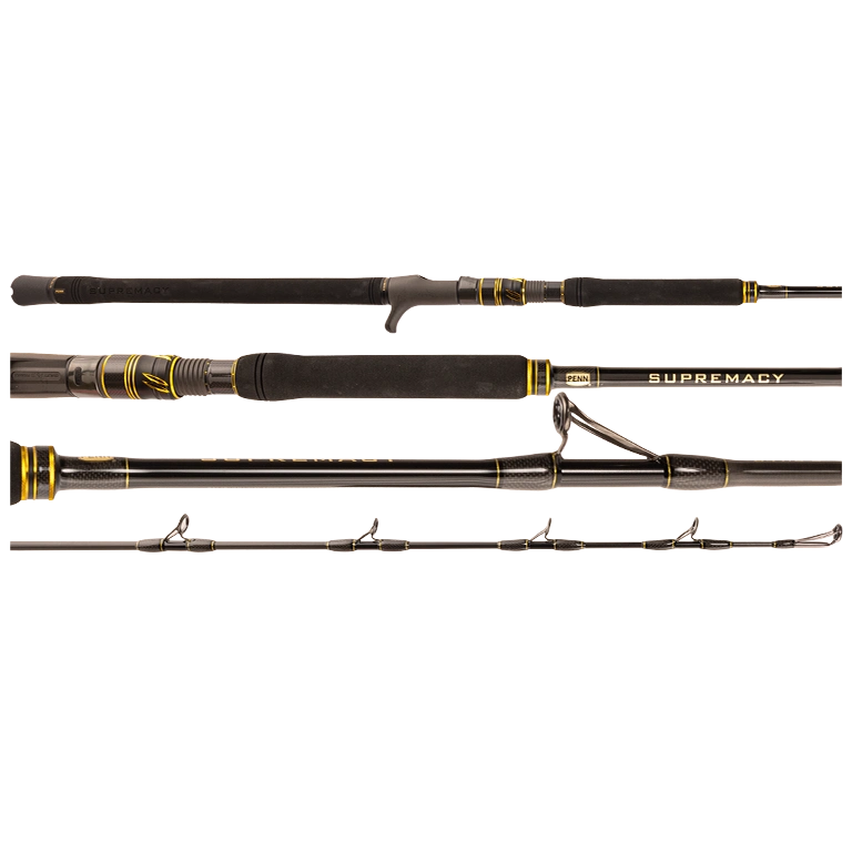 Penn Supremacy Jig Overhead Rod