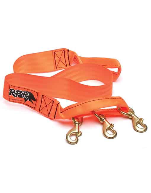 RPR Pig Dog Hound Lead