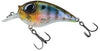 Molix Sb Crank 55 Hard Body Lure