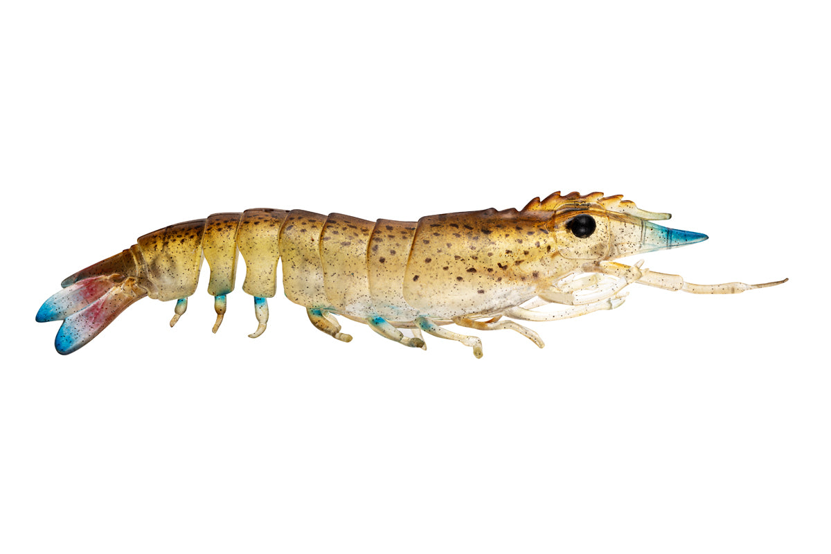 Nomad Design Live Ops Sumo Shrimp Soft Plastic Lure 5in