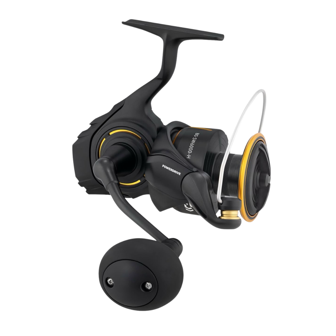 Daiwa 26 BG SW spinning reel