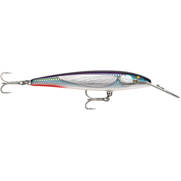 Rapala Countdown CD Magnum Elite Hard Body Lure 145