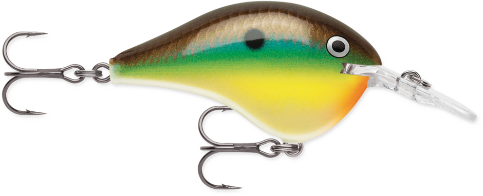 Rapala DT Dives To 12 Hard Body Lure