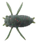 Tiemco Panic Cicada Tiny Soft Plastic Lure
