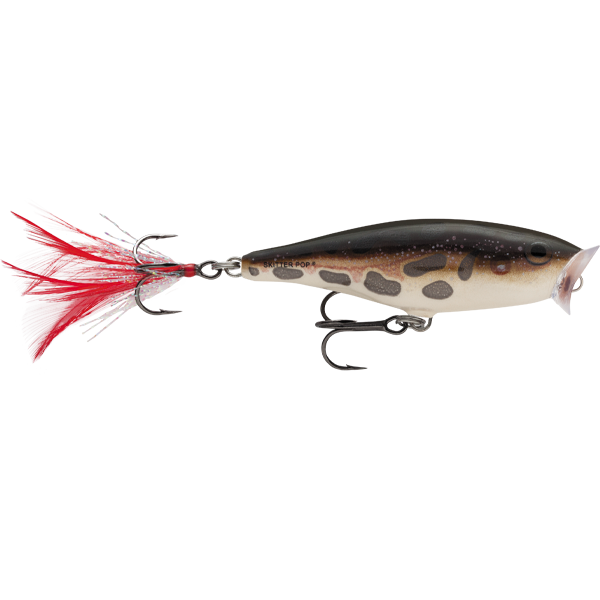 Rapala SP-5 Skitter Pop 5cm Popper Lure