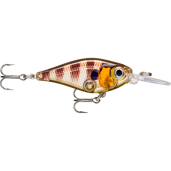 Rapala X-Light Shad Hard Body Lure 04
