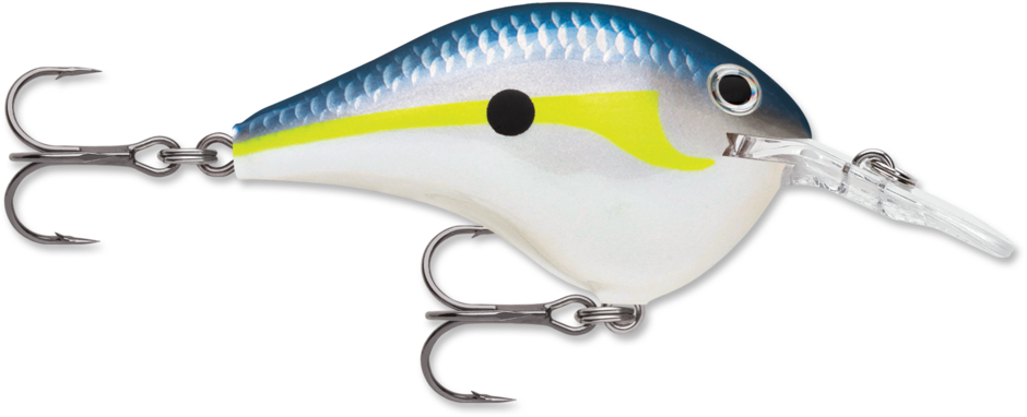 Rapala DT Dives To 12 Hard Body Lure
