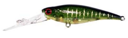 Lucky Craft Bevy Shad Shard Body Lure 50FC