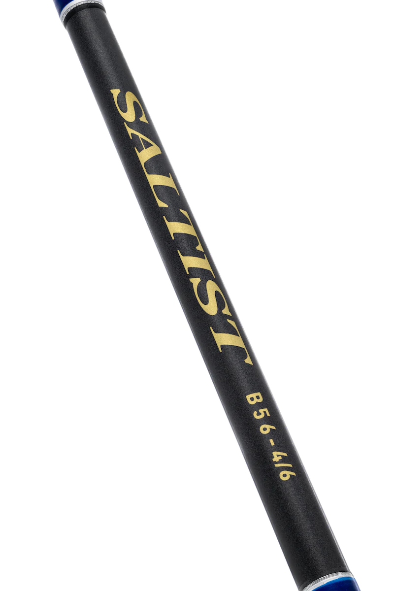 Daiwa 23 Saltist Overhead Rod