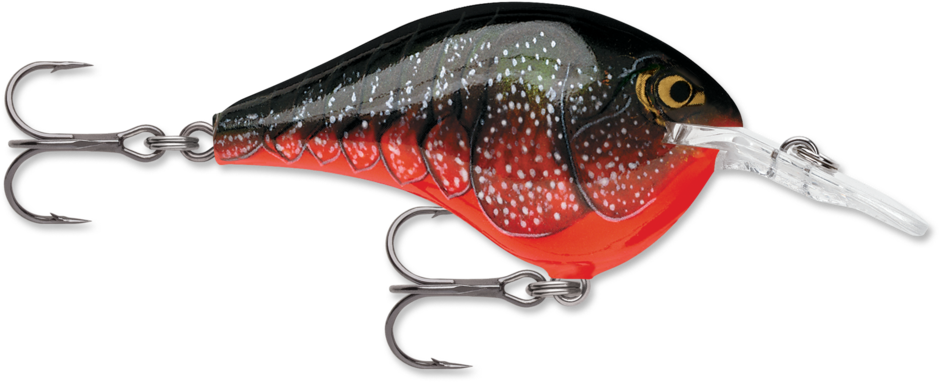 Rapala DT Dives To 12 Hard Body Lure