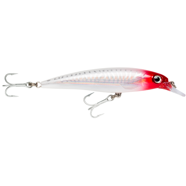 Rapala Saltwater X Rap 12 Hard Body Lure SXR12