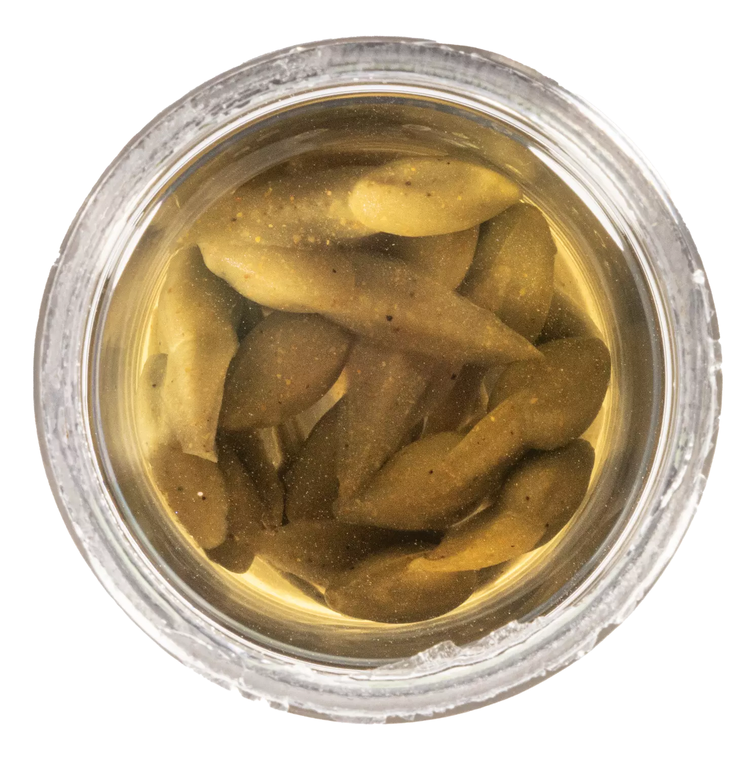 Berkley Gulp Alive Tadpole Trout Bait Smog 1.25 inch