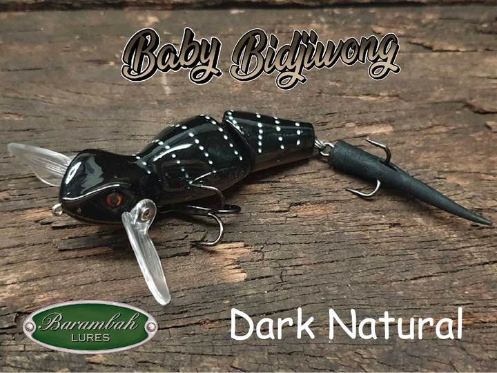 Barambah Baby Bidjiwong 145mm Lizard Surface Walker Cod Lure