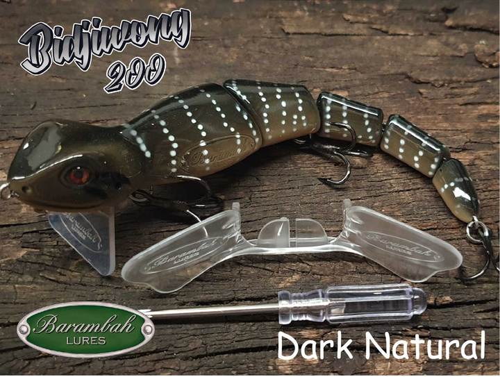 Barambah Bidjiwong 200mm Lizard Surface Walker Cod Lure