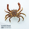 Chasebaits Crusty Crab 50mm Soft Plastic Lure