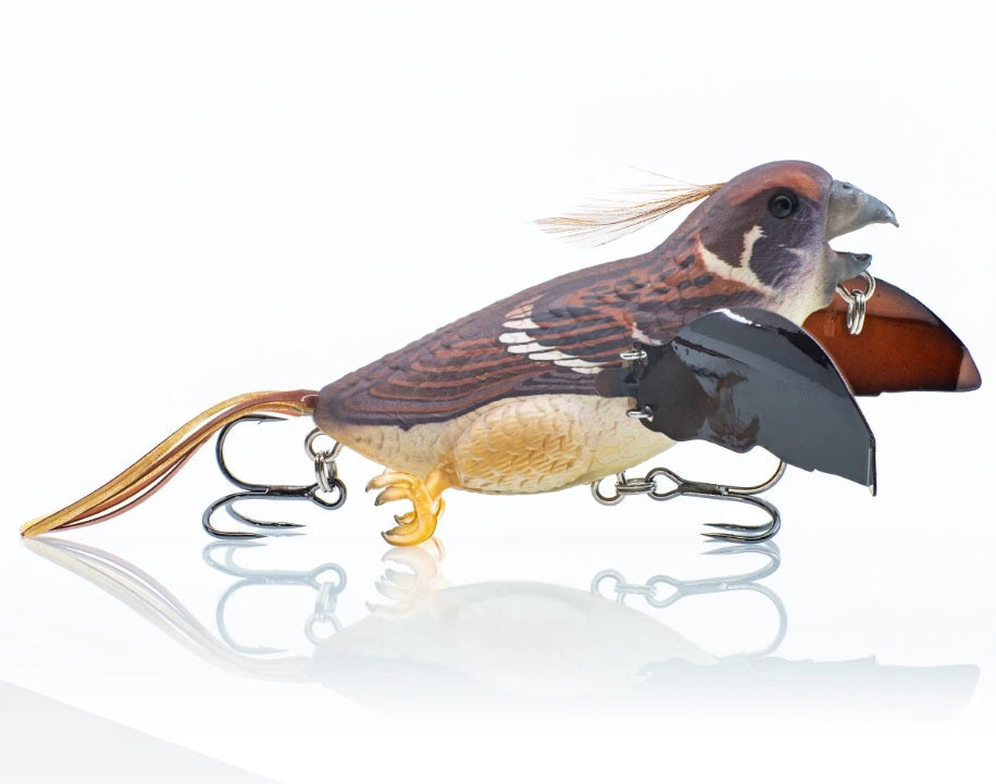 Chasebaits The Smuggler Budgie Bird Surface Walker Topwater Lure