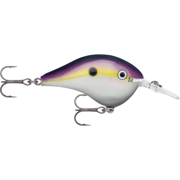 Rapala DT 8 08 Dives To 8 Foot Crankbait Hard Body Lure