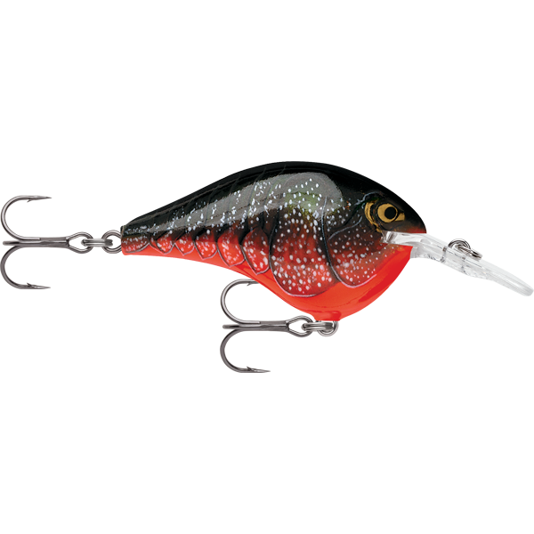 Rapala DT 8 08 Dives To 8 Foot Crankbait Hard Body Lure