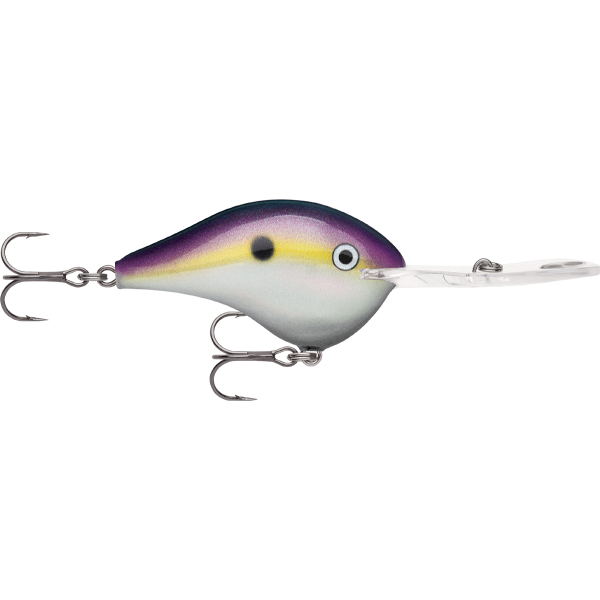 Rapala DT 20 Dives To 20 Foot Crankbait Hard Body Lure