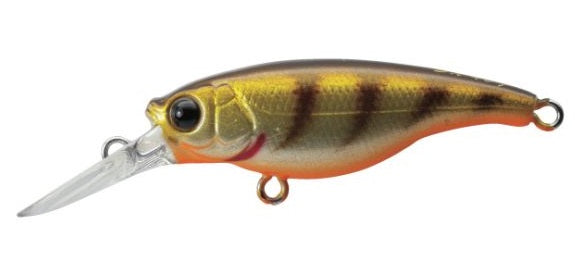 Ecogear SX 40F Hard Body Lure