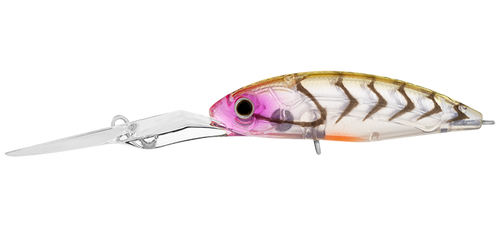 Daiwa Infeet Spike 53mm EXDR Crankbait Hard Body Lure