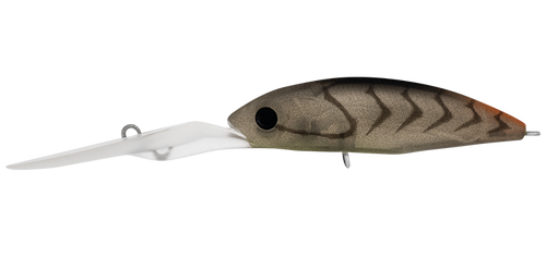 Daiwa Infeet Spike 53mm EXDR Crankbait Hard Body Lure
