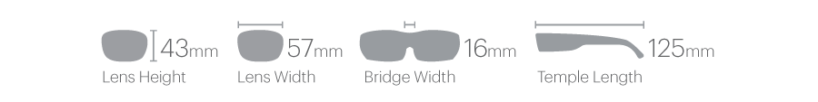 Smith Optics Longfin Matte Tortoise Frame Polarised Glass Brown Lens Performance Sunglasses