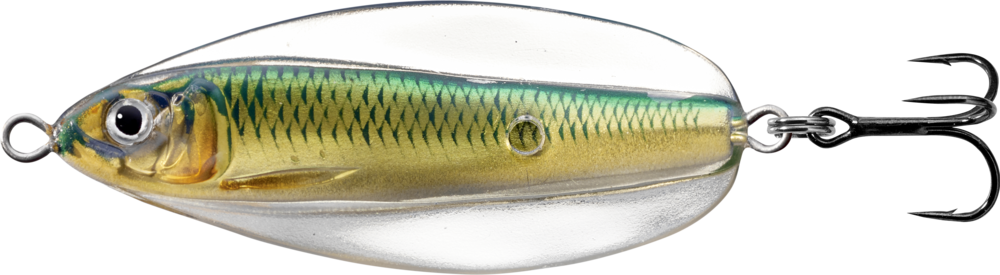 Live Target Erratic Shiner Hard Body Lure