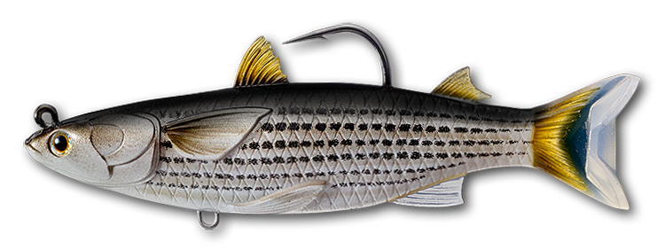 Live Target Mullet Swimbait Lure