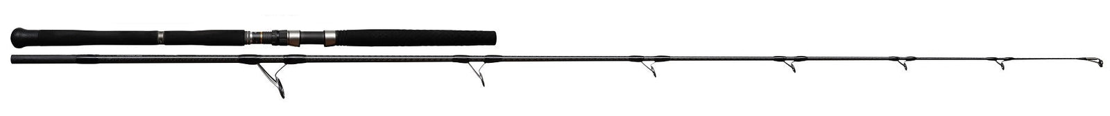 NS Black Hole BOCA S Spin Rod