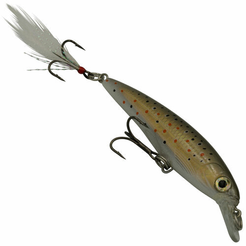 Rapala X Rap 8 Hard Body Lure XR08