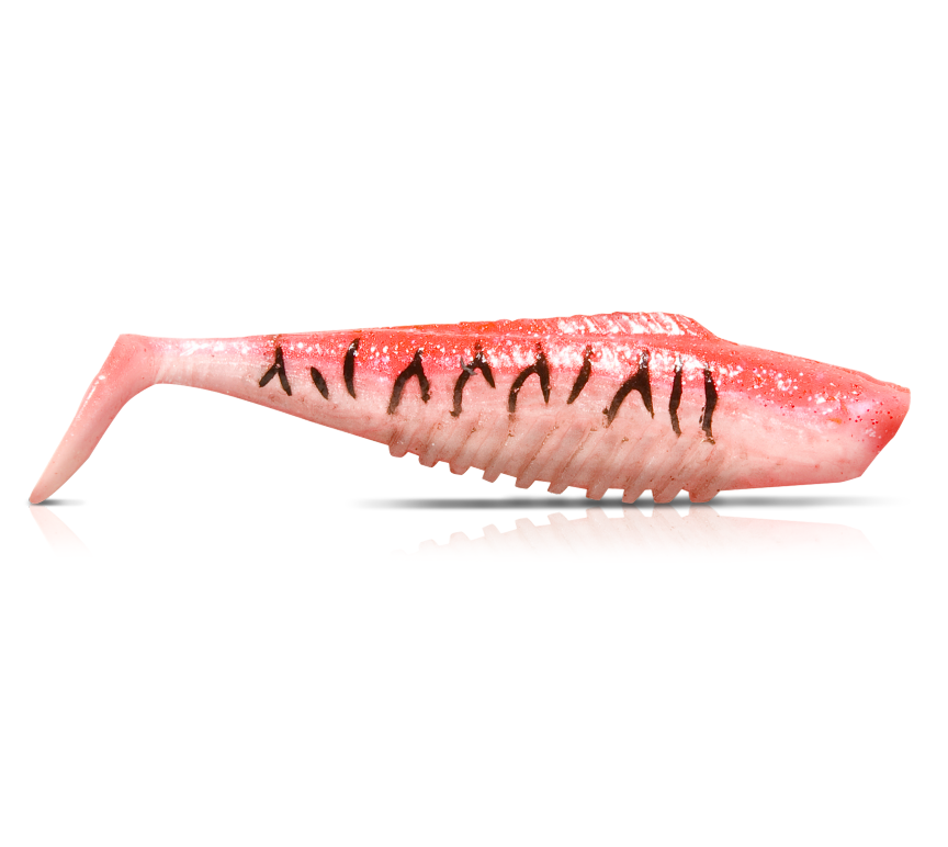 Squidgies Fish 65mm Soft Plastic Lure