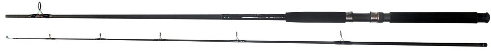 Wilson Live Fibre 2019 Spin Rod