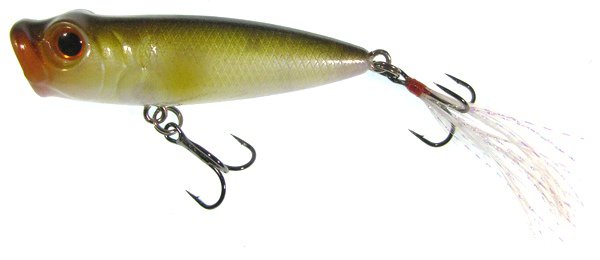 Cultiva 60mm Go Bo Popper Fishing Lure