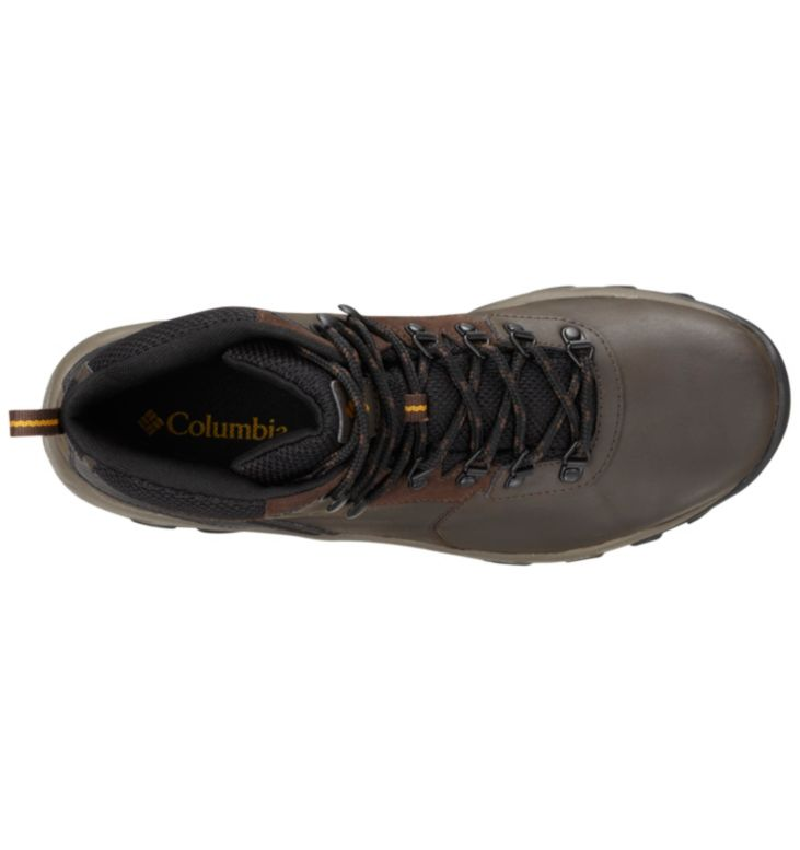 Columbia Newton Ridge Plus II Waterproof Mens Hiking Boot Cordovan Squash