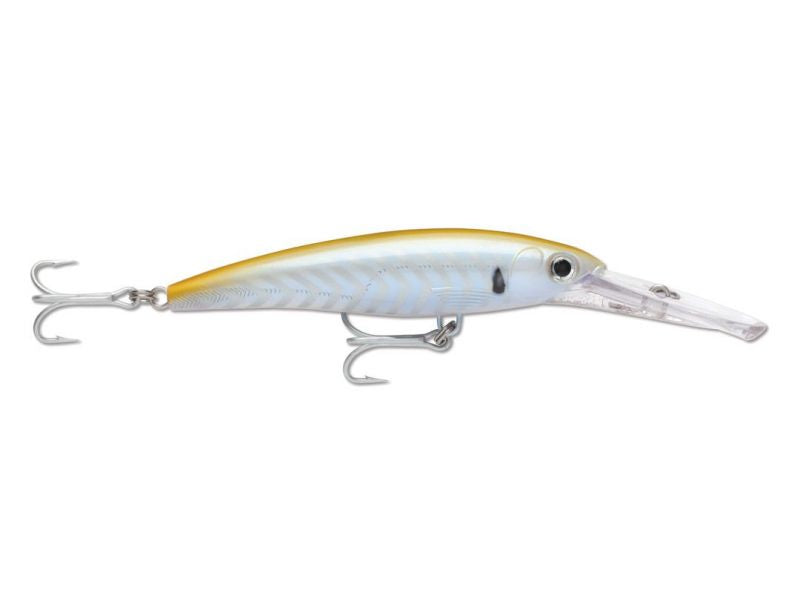 Rapala X-Rap 160mm 68g Hard Body Lure XRMAG30