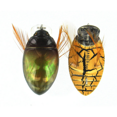 River2Sea GT Bug Surface Walker Lure