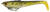 Zerek Flat Shad Pro 4.5 Inch Weedless Rigged Soft Plastic Lure