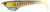 Zerek Flat Shad Pro 4.5 Inch Weedless Rigged Soft Plastic Lure