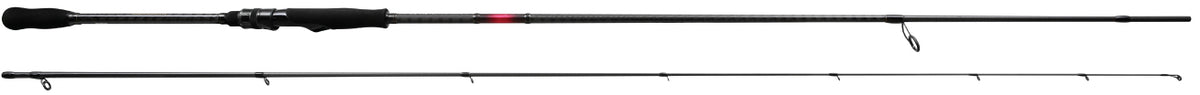 NS Black Hole Dark Horse II Spin Rod