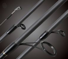NS Black Hole Exalt Spin Rod