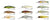 Lucky Craft Pointer Hard Body Lure 48DD