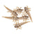 Berkley Gulp Alive Stone Fly Trout Bait Smog 1.25 inch
