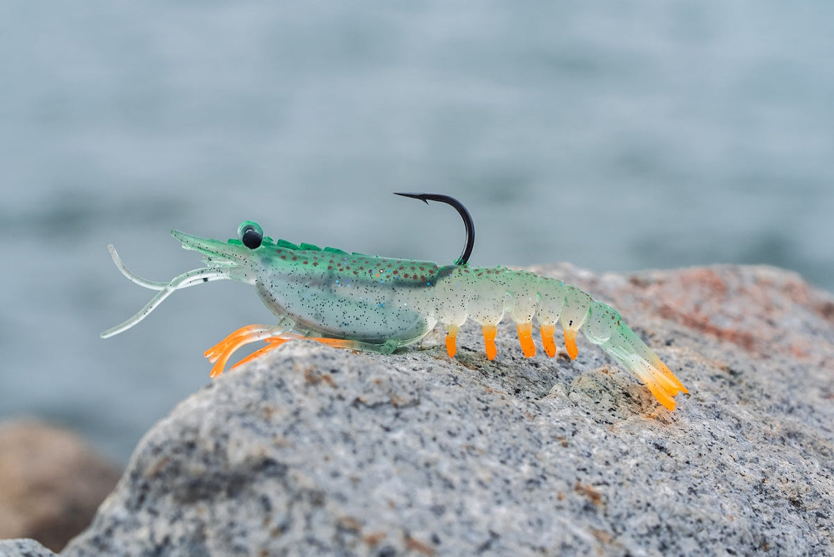 Nomad Tideline Rigged Shrimp on the rocks
