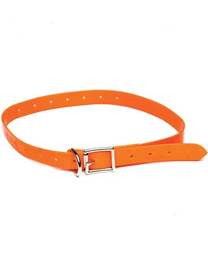 RPR Pig Dog Yard Collar