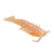 Zman Prawnz Soft Plastic Lure 2.5 Inch