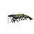 Chasebaits Flick Prawn 125mm Soft Plastic Lure