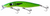 Classic Barra F18 +8 Plus 8 Hard Body Lure