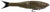 Berkley Powerbait Nessie Soft Plastic Lure 5in